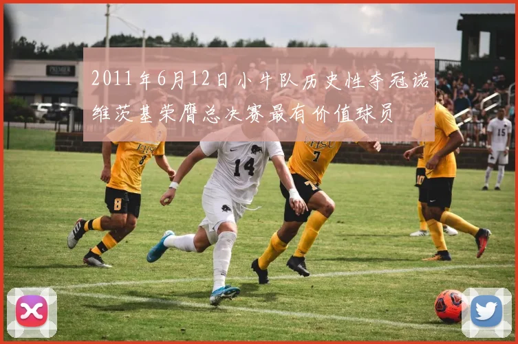2011年6月12日小牛队历史性夺冠诺维茨基荣膺总决赛最有价值球员