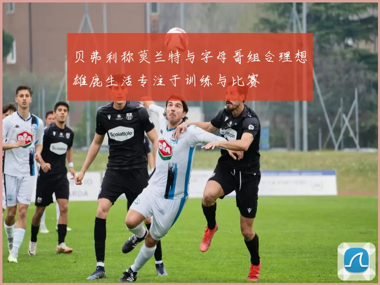 贝弗利称莫兰特与字母哥组合理想雄鹿生活专注于训练与比赛